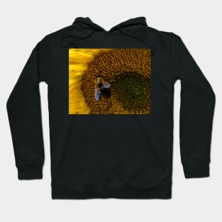 Bumble Bee Hoodie